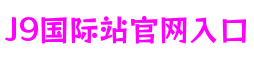 福建省泉州市J9国际站官网入口游戏系统有限公司